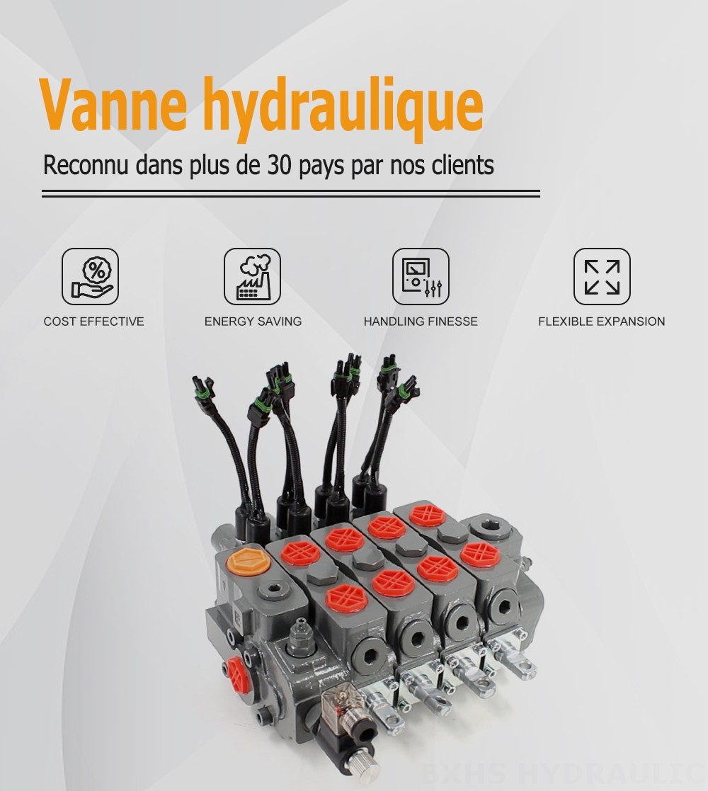 HSDLS180-Vanne de décharge électrique Manuel 4 distributeurs Distributeur directionnel sectionnel